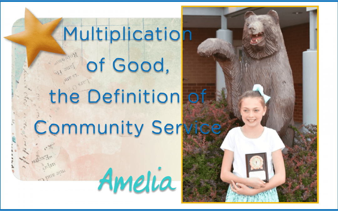 Multiplication of Good, the Definition of Community Service